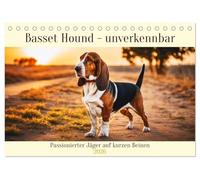 Basset Hound - unverkennbar (Tischkalender 2026 DIN A5 quer), CALVENDO Monatskalender: Passionierter Jäger auf kurzen Beinen