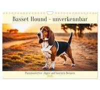 Basset Hound - unverkennbar (Wandkalender 2026 DIN A4 quer), CALVENDO Monatskalender: Passionierter Jäger auf kurzen Beinen