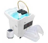 Bassin De Lavage De Cheveux Portable, Grand Réservoir D'eau De 60l, Cadre De Spa À Tête De Circulation D'eau, Fumigation Et Luminothérapie