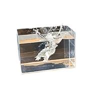 Bassin de Photographie en Acrylique, Acrylic Photography Water Tank and Shooting 3mm Thick Multiple Sizes(30x25x30cm(11.8x9.8x11.8in))