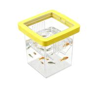 Bassin d'élevage d'aquarium | Cubateur multifonction en acrylique | Petite boîte d'aquarium pour quarantaine, éclosion, guppy, poisson de combat, tortue, eau de mer, marine, maison, bureau