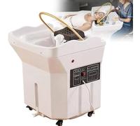 Bassine à shampooing portable avec réservoir d'eau de 60 L, tête thermostatique Spa, circulation de l'eau pour coiffeurs, design mobile