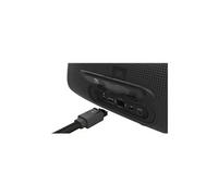 BASSPRO Go - Haut-parleur - pour utilisation mobile - sans fil - Bluetooth - 100 Watt - noir