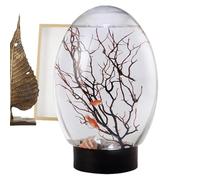 Bastoio Betta, Aquarium de bureau - Petit poisson bêta avec lumière LED - Panorama de bureau drôle, Ornement d'arbre de Fan Branch pour la maison, studio