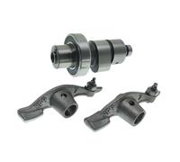 Bât à Bascule de l'arbre à cames Compatible avec Compatible YBR250 XTZ250 YS250 FAZER250 250CC Modèles 12B-E2171-00 1S4-E2170-10 36x-2151-00(One Set (Bearing))