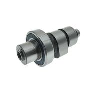 Bât à Bascule de l'arbre à cames Compatible avec Compatible YBR250 XTZ250 YS250 FAZER250 250CC Modèles 12B-E2171-00 1S4-E2170-10 36x-2151-00(Camshaft (Bearing))