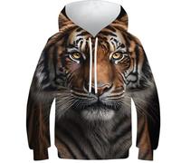 Bateau pirate Colorful1 Sweat à capuche Enfants Garçons Filles Pull Sweat à Capuche Drôle Impression 3D Hauts Pulls Jeunes Vêtements de Sport, Look tigre dans mes yeux, 10-12 ans