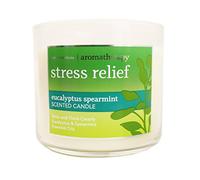 Bath and Body Works Bougie à 3 mèches Édition limitée Aromatherapy Collection (soulagement du stress - Eucalyptus menthe verte)