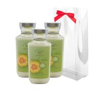 Bath & Body Works CUCUBRIMBER MELON BODLE LOTION 8 FL OZ Gift Set avec un arc rouge pour les vacances et des cadeaux de 3 - Edition limit e