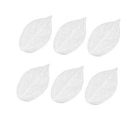 BATHVEVE 6pièces Naturelles Séchées pour Bricolage Matériaux pour Marque-Pages Cartes De Vœux Et Décorations Artisanales Blanc