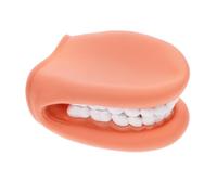 BATHVEVE Modèle de Dents Pédagogique pour Enseignement Modèle de Bouche Artificielle pour Apprentissage des Techniques de Brossage pour Garçon Fille et Démonstrations de Soins Dentaires