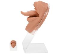 BATHVEVE Modèle de Langue en Silicone Flexible avec Support pour Pratique de Piercing, Simulation Partie du Corps Humain, Design Réaliste et Matériau Solide pour Entraînement Professionnel