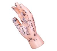 BATHVEVE Modèle de Main de Réflexologie Acupuncture avec Représentation Précise des Points Acupoint pour Éducation Médecine Traditionnelle Chinoise et Pratique de Massage