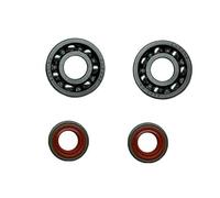 BATIVFLUG Outil Compatible avec Kit de Joint d'huile de roulement de Vilebrequin Compatible avec débroussailleuse Stihl FS350/FS400/FSR450/FS480/FS450