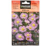 Batlle Aster des Alpes, Violet, Bleu