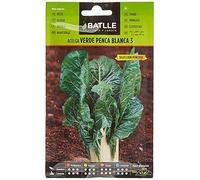 BAtlle Bette à Carde Verte avec Une Tache Blanche 3 Pencosa