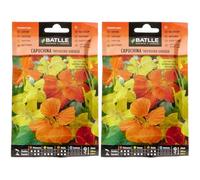 Batlle Capucine GRIMPANTE (Lot de 2)