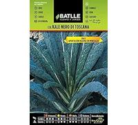 Batlle Chou Kale