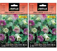 Batlle COBEE SCANDENS GRIMPANTE (Lot de 2)