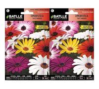 Batlle DIMORPHOTECA Tapis VARIEE (Lot de 2)