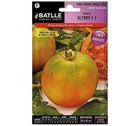 Batlle-Graines de Tomate F1 Olympe Hybride F-1