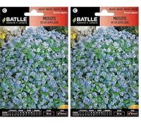 Batlle Myosotis des Alpes (Lot de 2)