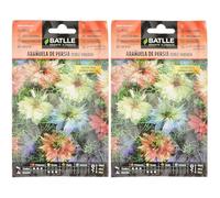 Batlle NIGELLE DE Damas (Lot de 2)