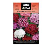 Batlle OEILLET du POETE