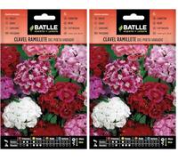 Batlle OEILLET du POETE (Lot de 2)