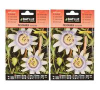 Batlle PASSIFLORE GRIMPANTE Blanche (Lot de 2)