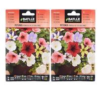 Batlle Petunia TOMBANTE des BALCONS (Lot de 2)