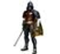 Batman Arkham City - Robin G