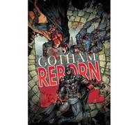 Batman Arkham Knight HC Vol 2 - [Version Originale] Peter Tomasi, Viktor Bogdanovic (Auteur)