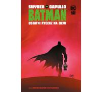 Batman Le dernier chevalier sur terre