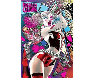 Batman Poster Comic Harley Quinn Neon 61 cm x 91,5 cm + 2 cadres transparents avec suspension