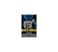 Batman Poster Maxi City, en Bois, Multicolore