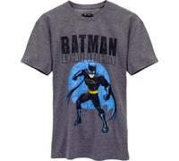 Batman - T-shirt pour homme NS6791 (S) (Gris/Bleu)