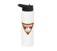 Batman: The Brave and the Bold Firestorm Shield Stainless Steel Insulated Water Bottle