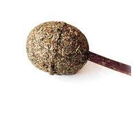 Bâton à mâcher amusant pour chat avec balle d'herbe à chat, sucette, chaton, nettoyage des dents d'animaux domestiques, jouets pour chats VeryNice traité