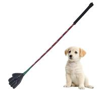 Bâton de dressage pour chat, bâton de dressage pour chiens | Poteau de flirt portable pour petits chiens,Bâton d'entraînement multifonctionnel, fournitures domestiques pour animaux de compagnie, équip