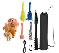 Bâton de flirt pour chien - Jouet à tirer pour chien - interactive pour animal domestique - Canne à taquer unique pour chien, jouet léger et rétractable pour l'entraînement d'agilité des