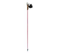 Bâton de marche nordique Guidetti Vent des Fjords UT70 Steppe 115 cm