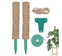 Bâton de Mousse de Support pour - 60 cm - Barre de Croissance Verticale - Aide à l'escalade Pothos - Support de Couvert de Mousse - pour l'intérieur et l'extérieur - Jardins intérieurs