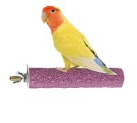 Bâton de ponçage pour oiseaux, perroquet, 20 cm, tige de support givrée