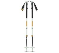 Black Diamond Bâtons de ski Traverse Pro Argenté 105-155 cm