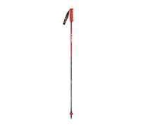 Bâton de ski carbon Vola Gs Rouge 115 cm