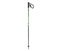 Bâton de ski Elan Speed Vert 110 cm
