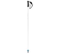 Bâton de ski enfant Head Worldcup SL Blanc 125 cm