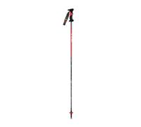 Vola Sl Carbon 12,5 Mm Poles Argenté 110 cm