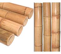 Bâton en bambou de 300 cm - Marron jaune avec diamètre XL de 10 à 12 cm - traité à la chaleur - Tube en bambou épais de 3 m de long et amorti